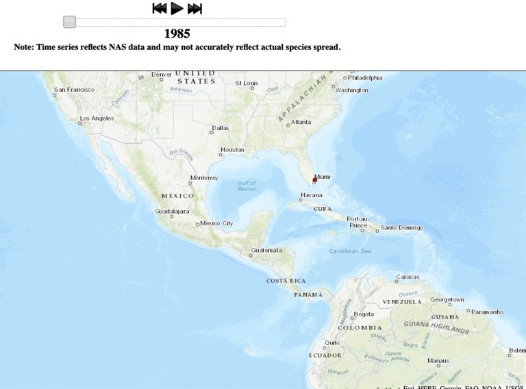 Mapa mostra chegada do peixe-leão no Caribe
