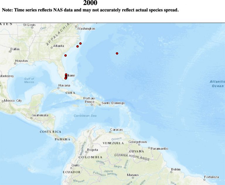 mapa mostra dispersão do peixe-leão no Caribe no ano 2000.