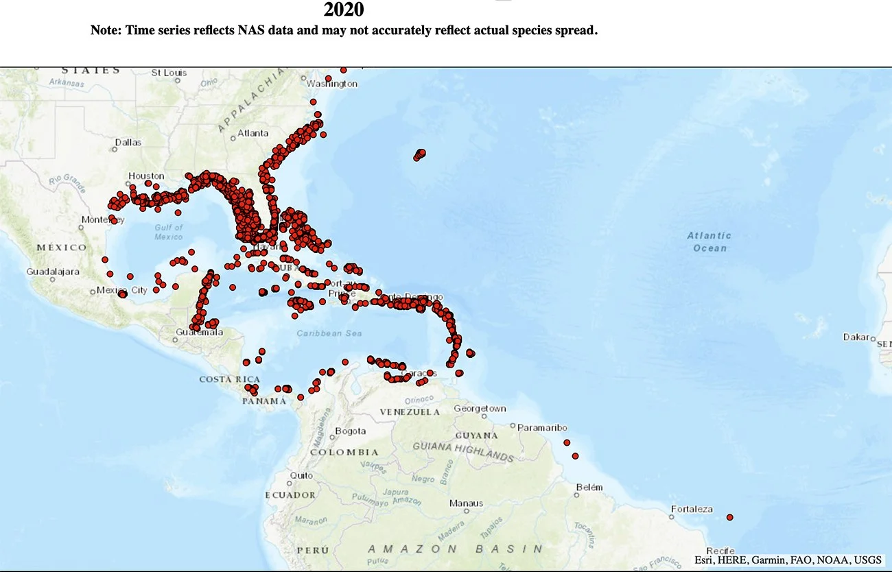 Mapa mostra proliferação do peixe-leão no Caribe.