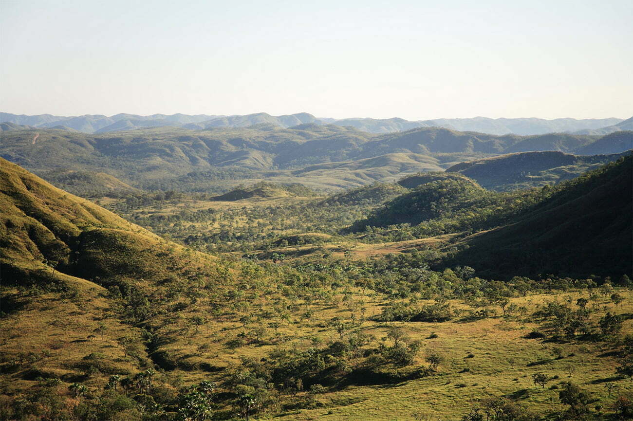 Imagem do bioma Cerrado