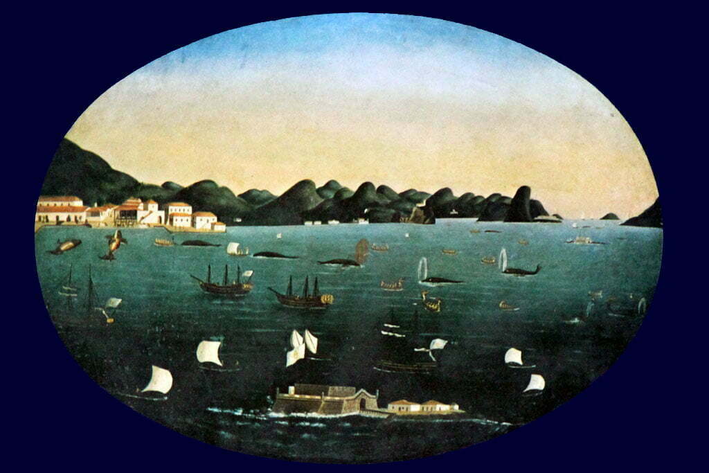 aquarela mostra baleias na Baía de Guanabara