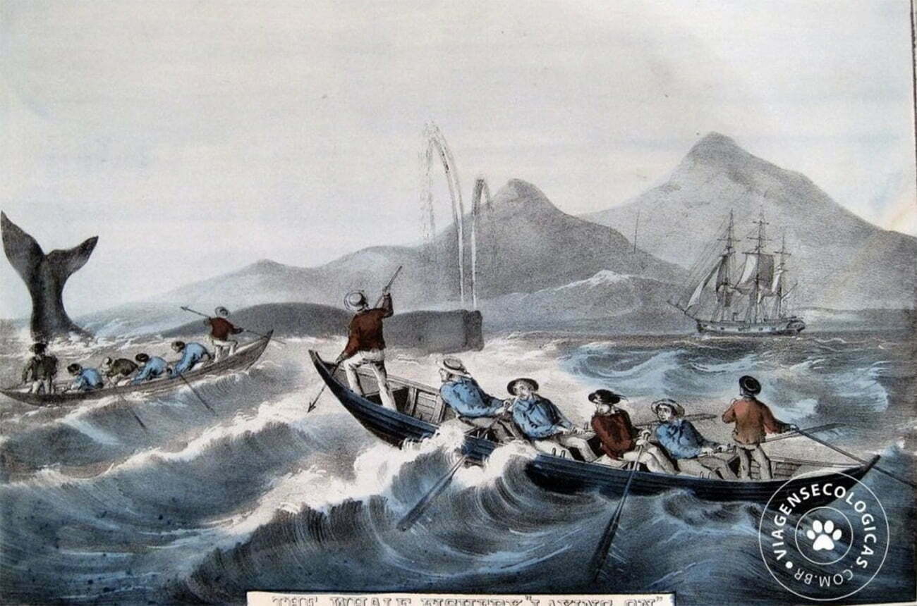 Gravura de caça a bacia na Bahia, século 19
