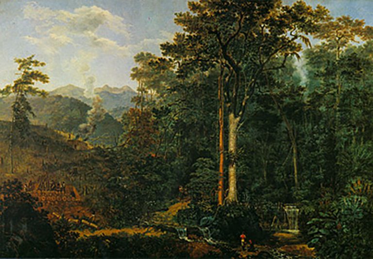 desenho da Mata Atlântica que José Bonifácio defendia, destruída