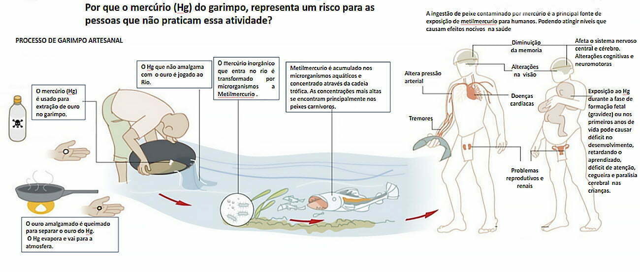 infográfico mostra contaminação por mercurio 