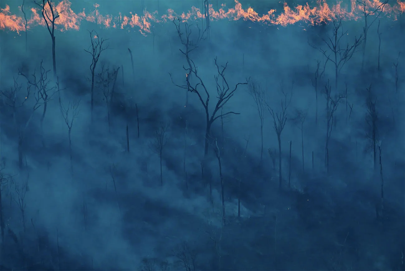 imagem de fogo na Amazônia