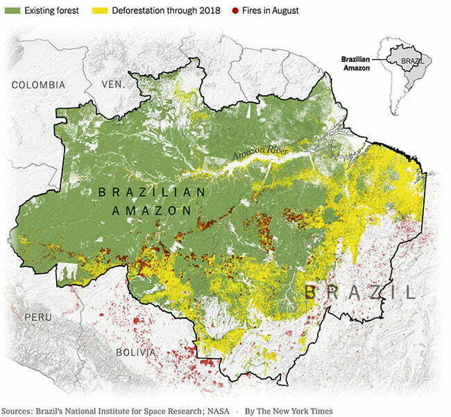 infográfico Amazônia 2020-2021