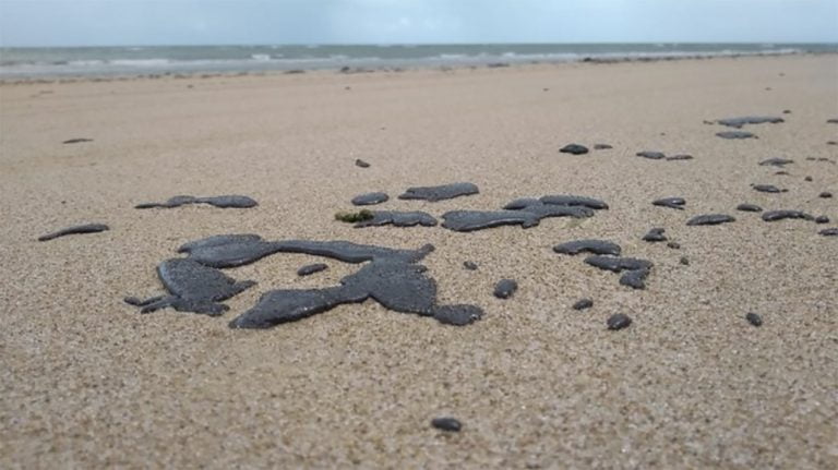 óleo no litoral, cearense