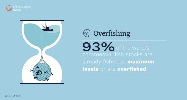 Dados da FAO mostram sobrepesca no mundo