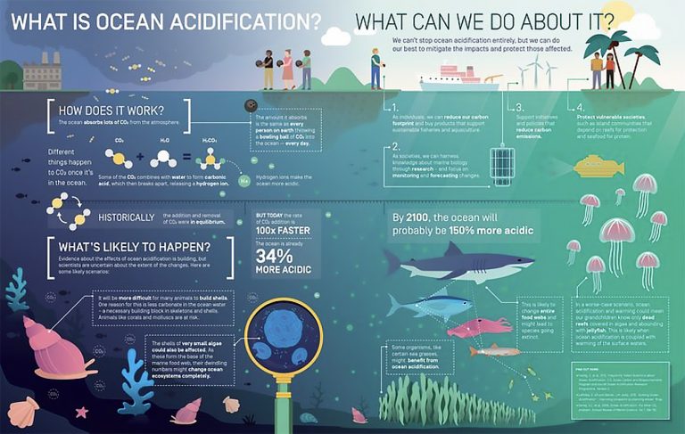 Infográfico acidificação dos oceanos