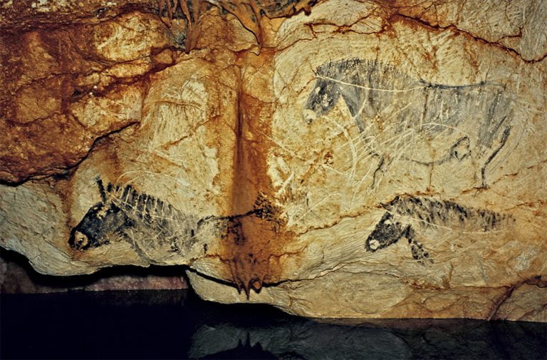 desenho de bisões da idade da Pedra