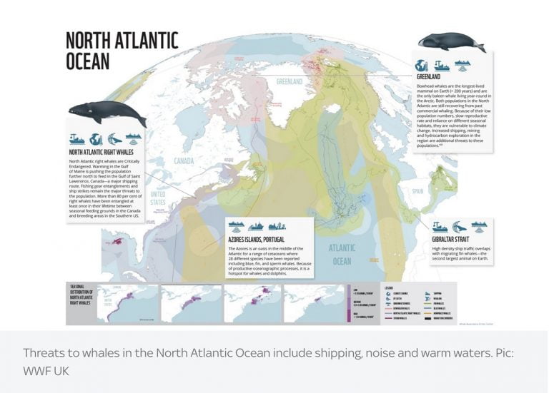 rota de baleias no Atlântico Norte