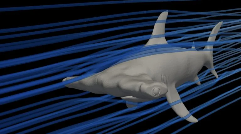 Ilustração der tubarão e sua pele