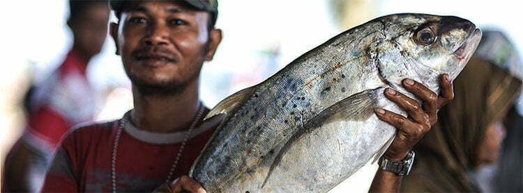 Pesca e Aquicultura Mundial