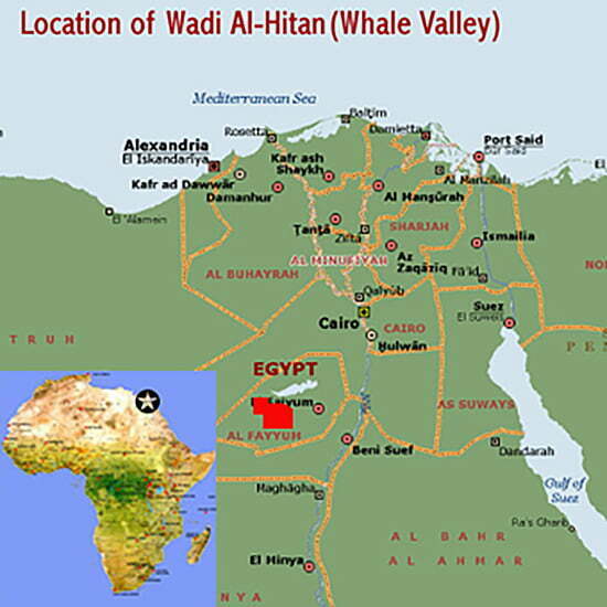 Localização do Vale das Baleias, Egito