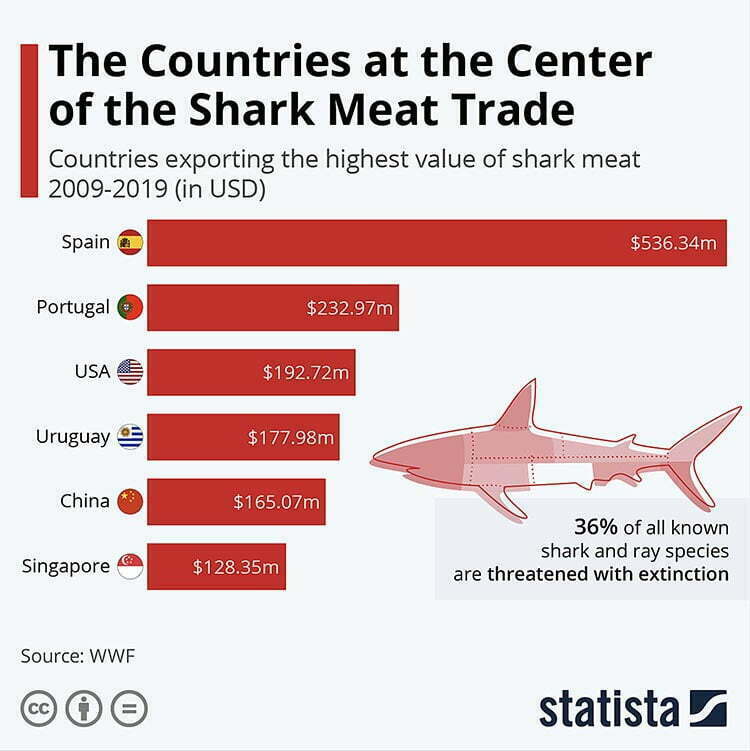 países exportadores de carne de tubarão.