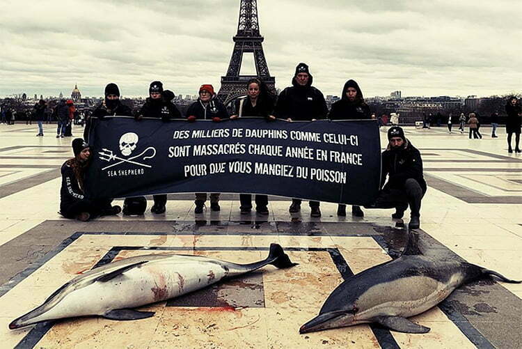 protesto na França pela matança de golfinhos.