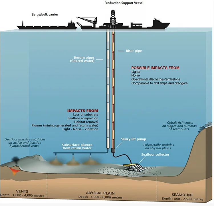 Impactos da mineração submarina.