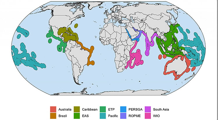 Distribuição de corais monitorados no mundo 