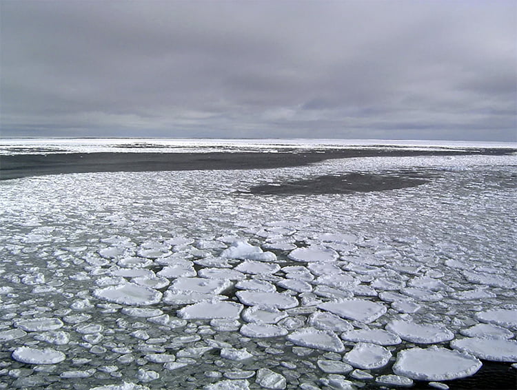 Perda de gelo marinho da Antártica
