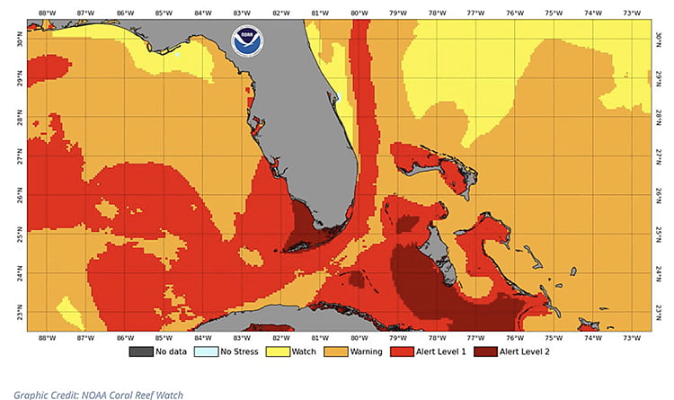 gráfico da NOAA sobre a temperaturas do oceano na Flórida.