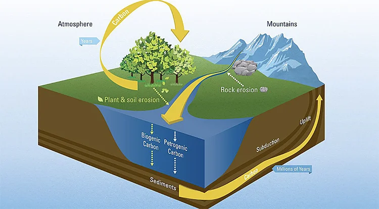 ciclo do carbo da terra para o mar.