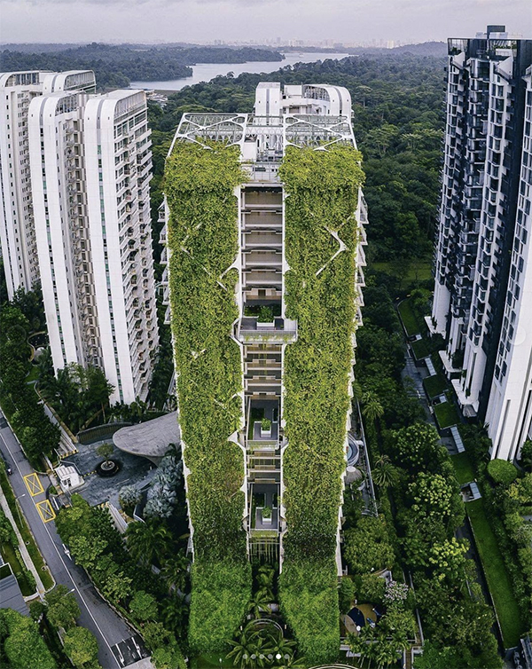 A Singapura verde