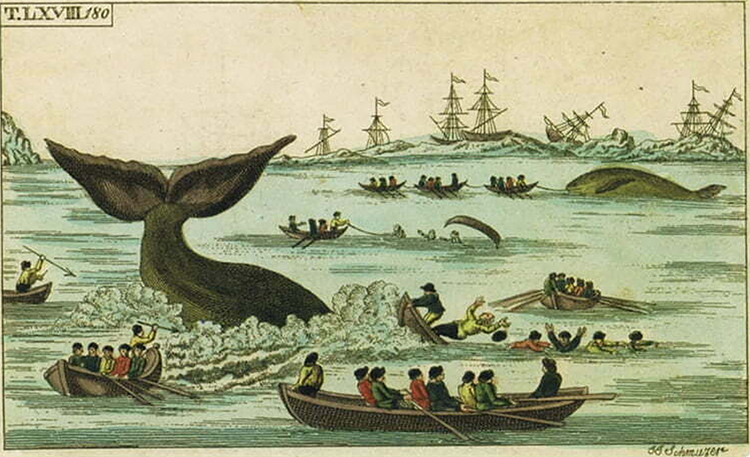 Norte-americanos na caça às baleias.