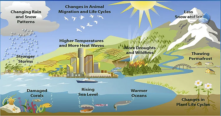 conservação e gestão de recursos naturais