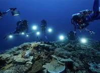 Fungos marinhos podem originar novo antibiótico