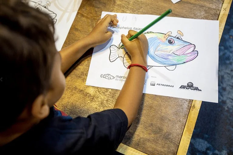 criança desenha um mero