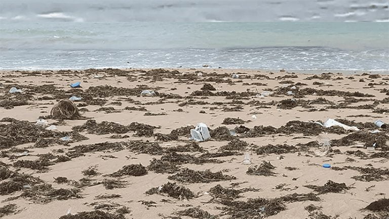 Microplásticos em praias brasileiras.jpg
