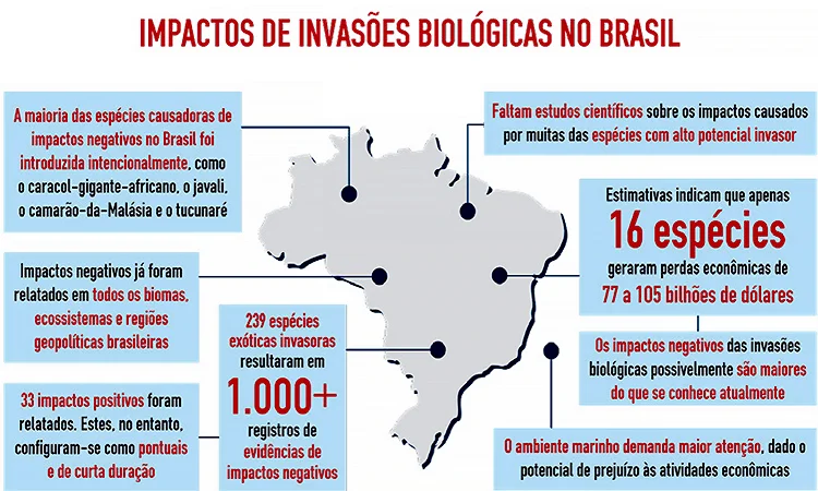 Impactos da invasão biológica no Brasil.