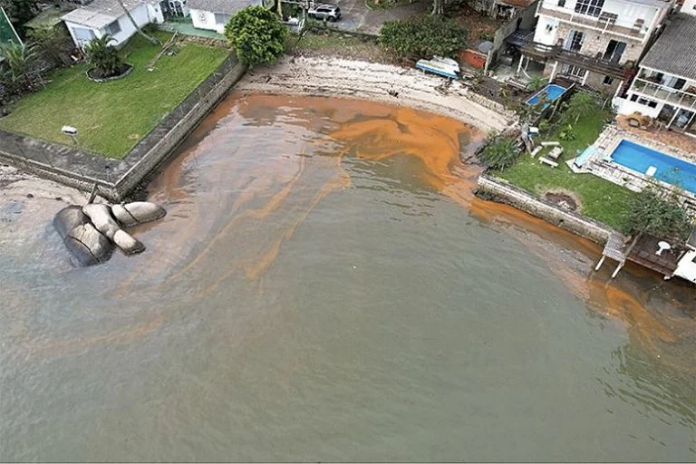 maré vermelha em Florianópolis