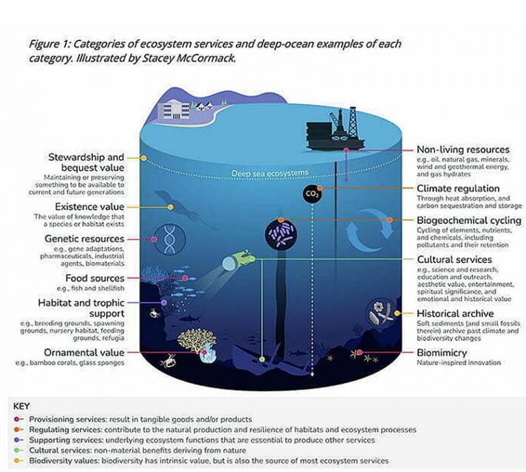 Infográfico mostra serviços dos oceanos profundos 