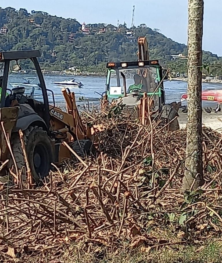 máquina da prefeitura extirpa restinga