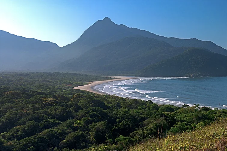 Praia Camboriú/Cambriú, ilha do Cardoso.