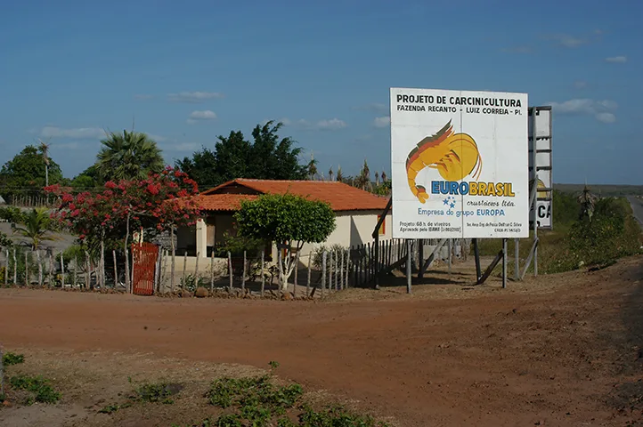 Carcinicultura no litoral do Piauí 