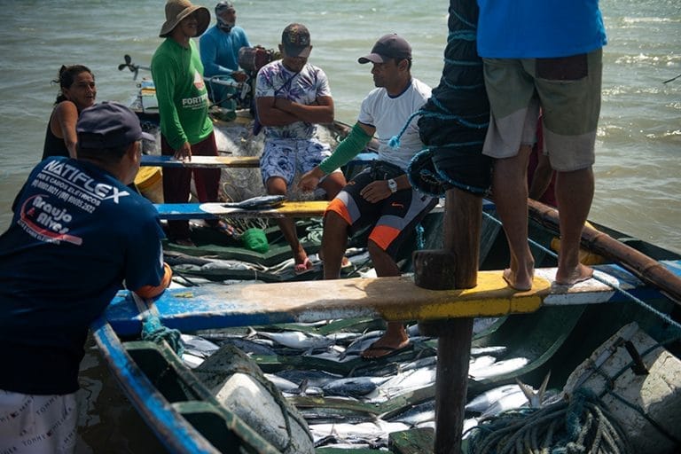 canoa de Camocim cheia de peixes.