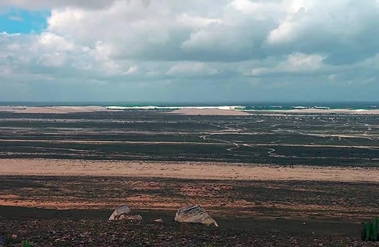 restinga de Jericoacoara