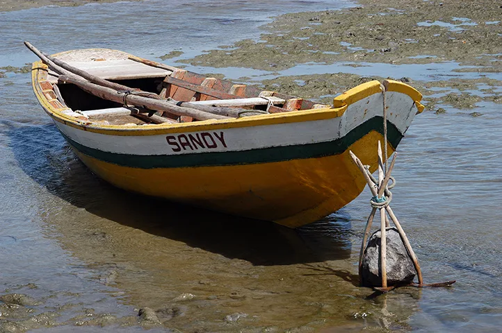 Canoa Sandy em Cajueiro da Praia