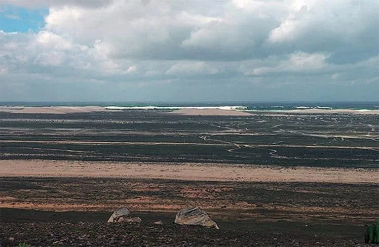 restinga do Parna de Jericoacoara