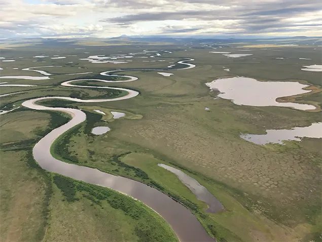 Tundra do Ártico.