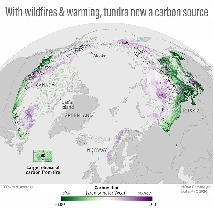 gráfico mostra aquecimento na tundra do Ártico