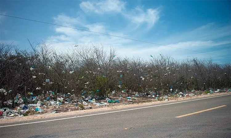 lixão a céu aberto em Barroquinha.