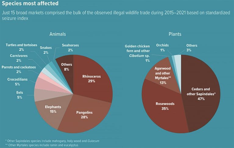 espécies mais afetadas pelo tráfico de fauna e flora 