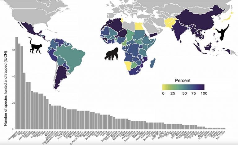 mapa-mundi com dados do tráfico de fauna e flora