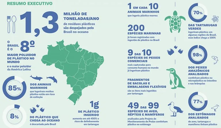 resumo da poluição por plástico no Brasil que ocupa o oitavo lugar entre os 10 maiores poluidores por plástico