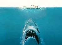 Visão diferente e menos assustadora dos tubarões brancos