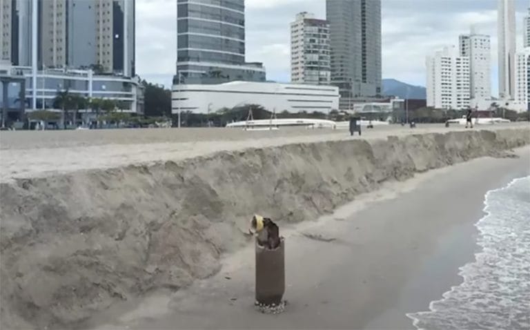 Degrau na praia Central