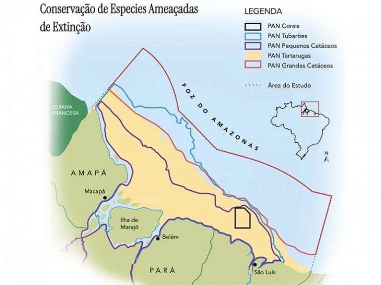 estudo de espécies ameaçadas na foz do amazonas